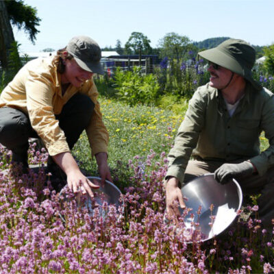 Working with Native Plants