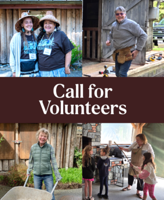 Social-Instagram- call for volunteers