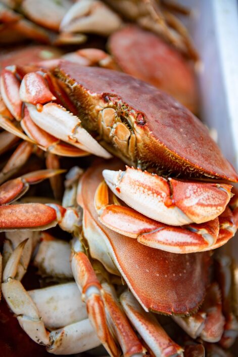 Sooke CRABFEST 2026