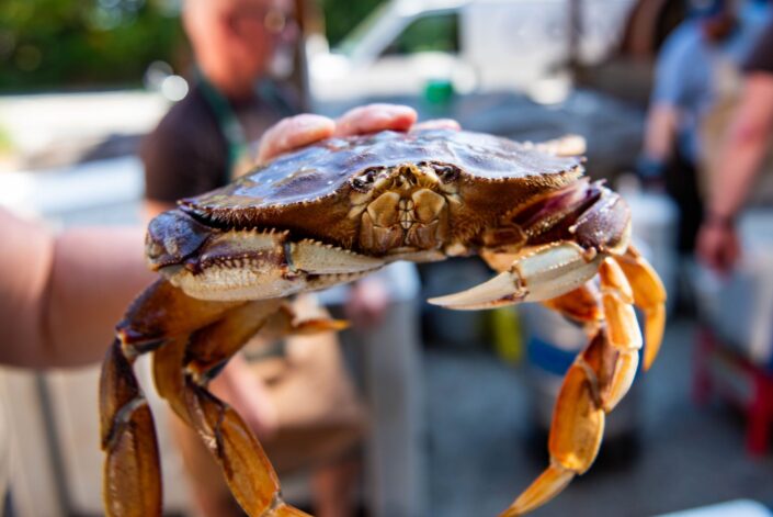 Sooke CRABFEST 2026